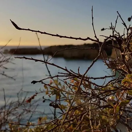 Albufeira, Cerro Branco Apartment Albufeira